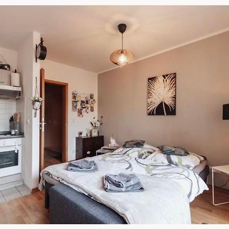 Die Kleine „Louise“ In Der Neustadt Mit Tiefgarage دريسدن المظهر الخارجي الصورة
